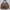 Spao Vintage Hoody Pria brown photo 1
