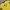 Alien Workshop Vintage Streetwear T-shirt Pria Yellow