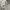 Casual Midi dress Wanita white cream photo 6