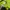 Adidas Sportswear Casual Windbreaker Pria green black photo 3
