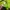 Adidas Sportswear Casual Windbreaker Pria green black photo 4