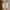 WHO.A.U Minimalist Casual Harrington jacket Pria tan photo 5