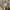 WHO.A.U Minimalist Casual Harrington jacket Pria tan photo 7