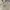WHO.A.U Minimalist Casual Harrington jacket Pria tan photo 2
