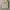 WHO.A.U Minimalist Casual Harrington jacket Pria tan photo 8