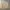 WHO.A.U Minimalist Casual Harrington jacket Pria tan photo 1