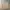 WHO.A.U Minimalist Casual Harrington Jacket Pria Tan