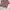 Polo Ralph Lauren Luxury Polo shirt Pria white red photo 2