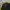 Starter Streetwear Casual Windbreaker Pria yellow black photo 1