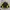 Starter Streetwear Casual Windbreaker Pria yellow black photo 2