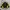Starter Streetwear Casual Windbreaker Pria Yellow Black