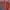Fila Sportswear Track jacket Pria red gray photo 2