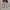 Bally Casual Flat Wanita white photo 5