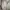 Head Streetwear Track jacket Pria gray photo 6