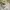 Quiksilver Casual Casual shirt Pria white photo 6