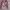 Y2K Casual Cardigan Wanita pink photo 1