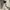 H&M Luxury Formal shirt Pria white photo 2