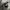 New Era Streetwear Hoody Pria gray photo 6