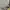 New Era Streetwear Hoody Pria gray photo 5