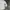 Uniqlo Streetwear Casual Casual shirt Pria white photo 4