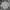 Streetwear Casual Casual shirt Pria gray photo 1