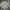 Streetwear Casual Casual shirt Pria gray photo 6