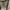 Rodeo Crowns Streetwear Hoody Pria tan photo 6