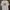 Fruit of the Loom Casual T-shirt Pria white photo 1