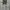 Balmain Vintage Luxury Sweatshirt Pria gray photo 1