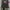 Japanese brand Streetwear Biker Sweatshirt Pria multicolor green photo 2