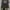 Japanese Brand Streetwear Biker Sweatshirt Pria Multicolor Green