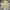 COMME CA ISM Streetwear Casual Casual shirt Pria cream photo 2