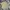 COMME CA ISM Streetwear Casual Casual shirt Pria cream photo 5