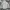 GAP Streetwear Casual Casual shirt Pria white photo 5