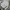 GAP Streetwear Casual Casual shirt Pria white photo 6