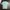 Mahagrid Casual T-shirt Pria green photo 1