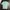 Mahagrid Casual T-shirt Pria Green