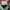 O'Neill Y2K Sportswear Hoody Pria multicolor photo 5