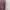 Casual Midi dress Wanita purple photo 4