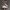 On Running Sportswear Sneakers Wanita multicolor photo 1