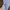 Minimalist Casual Culotte Wanita blue photo 3