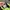 Nike Streetwear Sneakers Pria green black photo 5