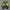 Nike Streetwear Sneakers Pria green black photo 4