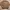 Valentino Vintage Luxury Sweater Pria Tan