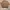 Valentino Vintage Luxury Sweater Pria tan photo 1