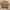 Valentino Vintage Luxury Sweater Pria Tan