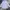 Casual Formal shirt Pria gray photo 1