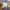 Issey Miyake Vintage Maxi dress Wanita blue photo 8