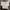 Casual Crop top Wanita white photo 1