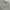 GOA Avant Garde Cardigan Pria gray photo 6